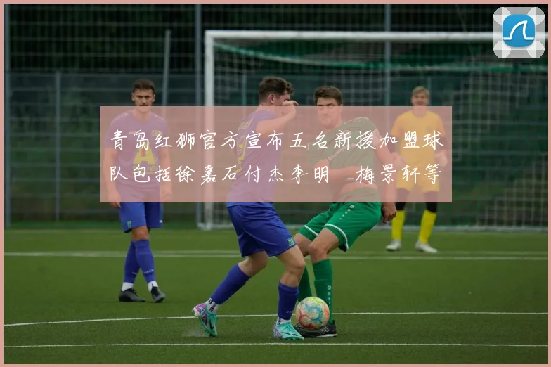 青岛红狮官方宣布五名新援加盟球队包括徐嘉石付杰李明璠梅景轩等球员